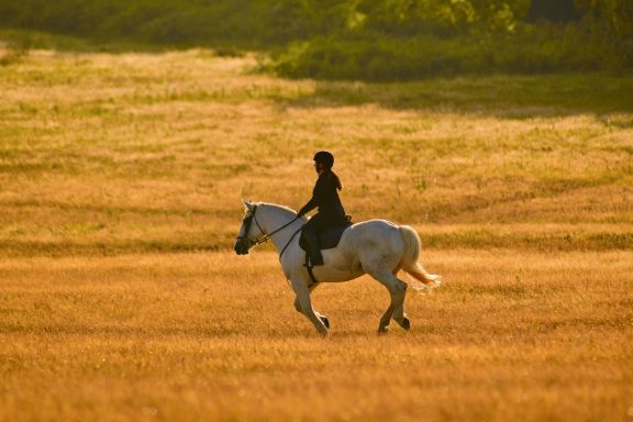 Reiten Reiten